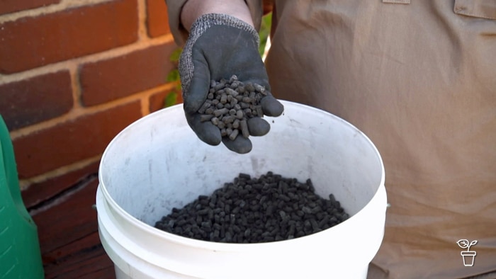 Gloved hand holding pelletised fertiliser scooped from a white bucket