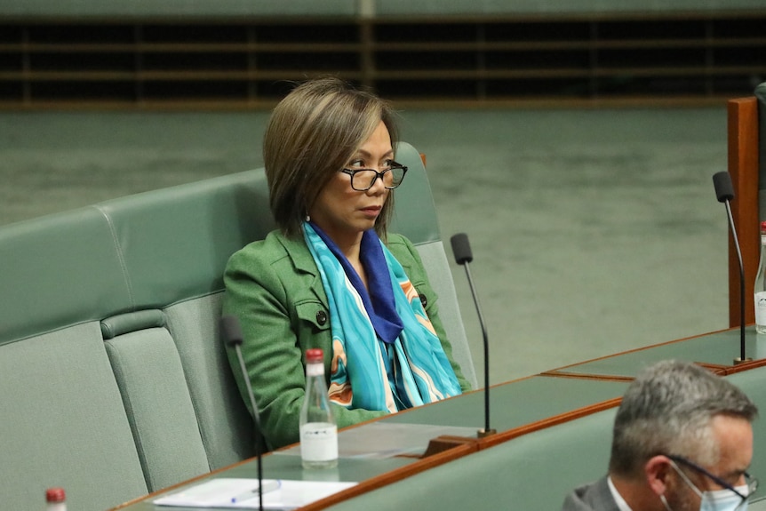 Di Le sits, wearing a green jacket, colourful scarf and dark-rimmed glasses as she looks across the lower house chamber.