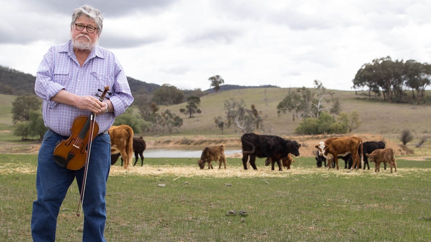 Farmer Allan Walsh standing in paddock holding violin, cows in background