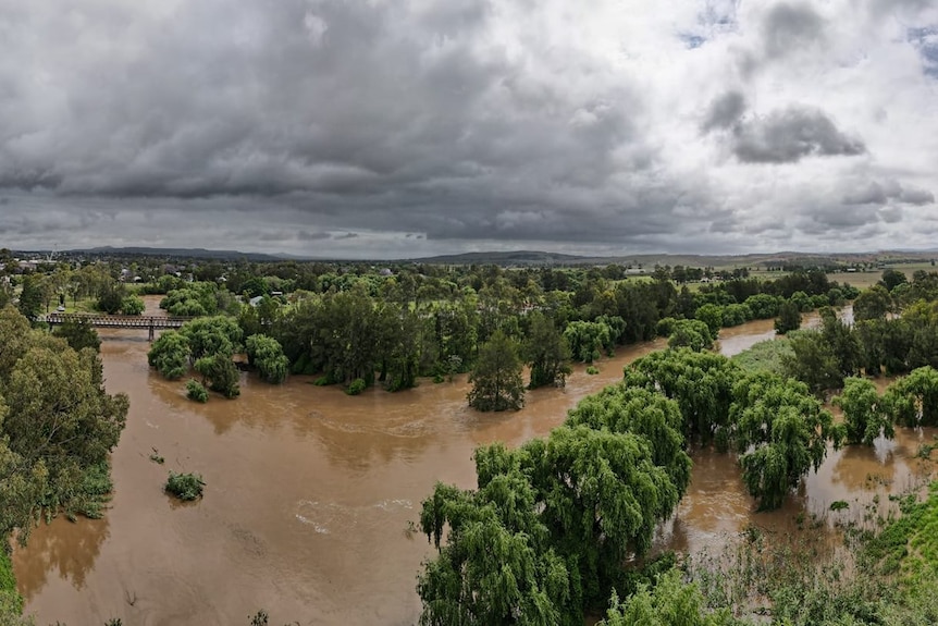 hunter, river, muswellbrook, flood, rainfall, upper, hunter