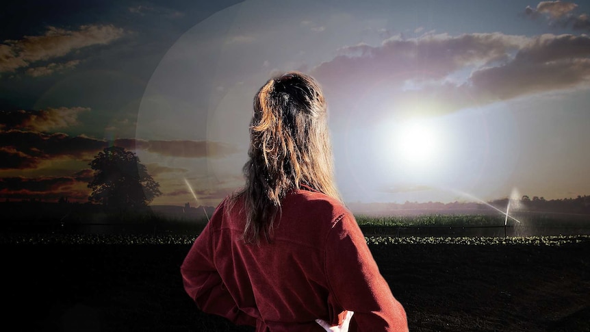 A woman stares out to look at a field (edited image).