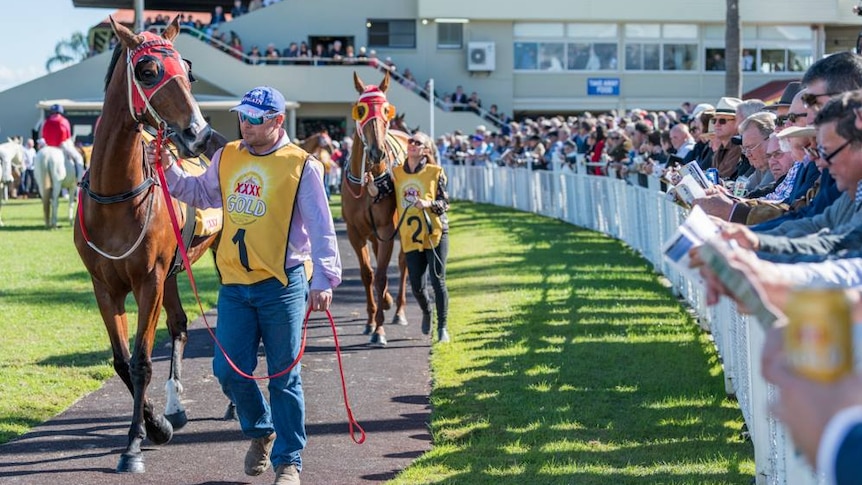 People lead horses around a ring while people holding newspapers look on.