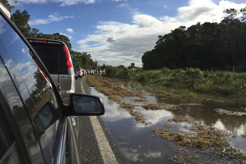 Cars lined up along the Pacific Highway, with floodwater on the side.
