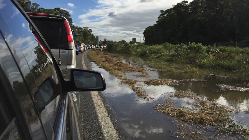 Cars lined up along the Pacific Highway, with floodwater on the side.