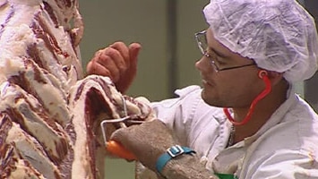 Abattoir worker cutting up a carcase