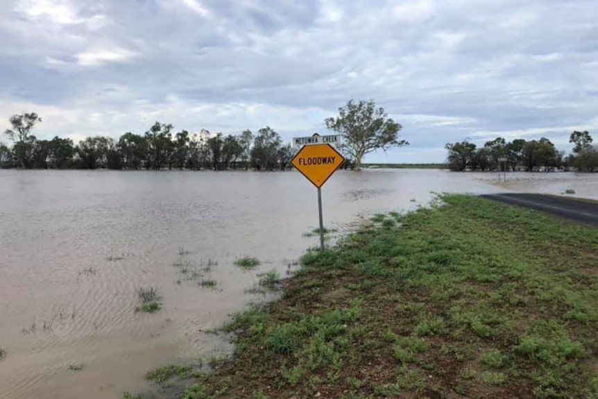 Flooded Metowra Creek running into the Ward River at Lansdowne property.