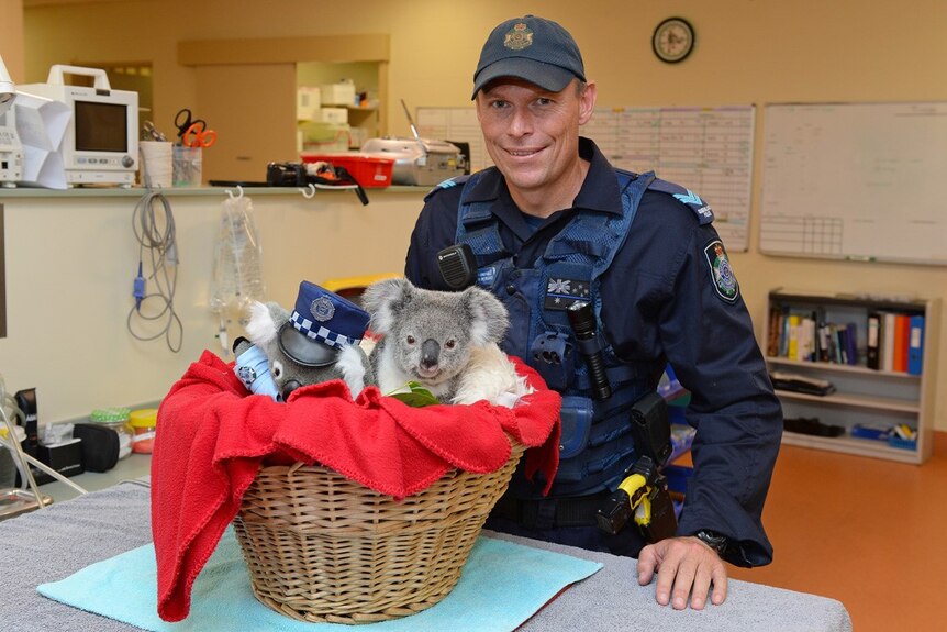 Policeman stands smiling with DJ the koala and toy koala at the Wildlife Hospital.