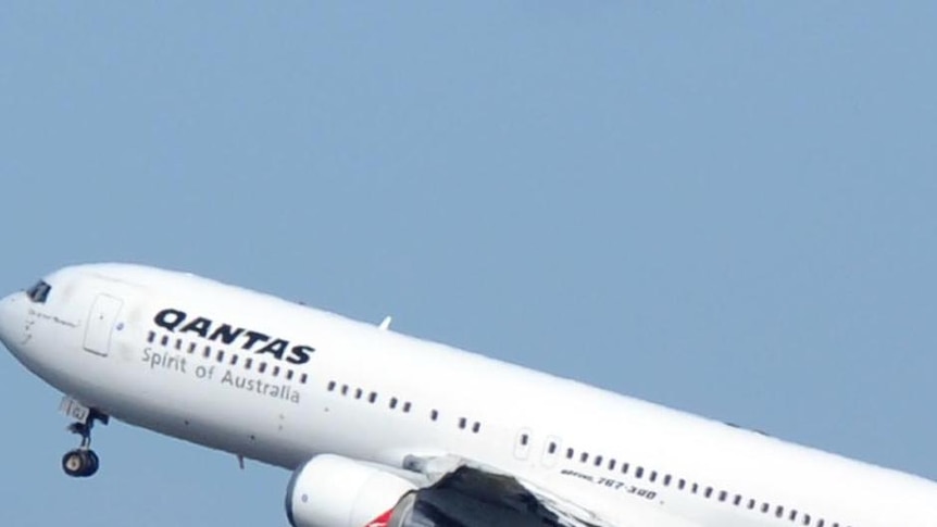 A Qantas jet takes off at Sydney International Airport