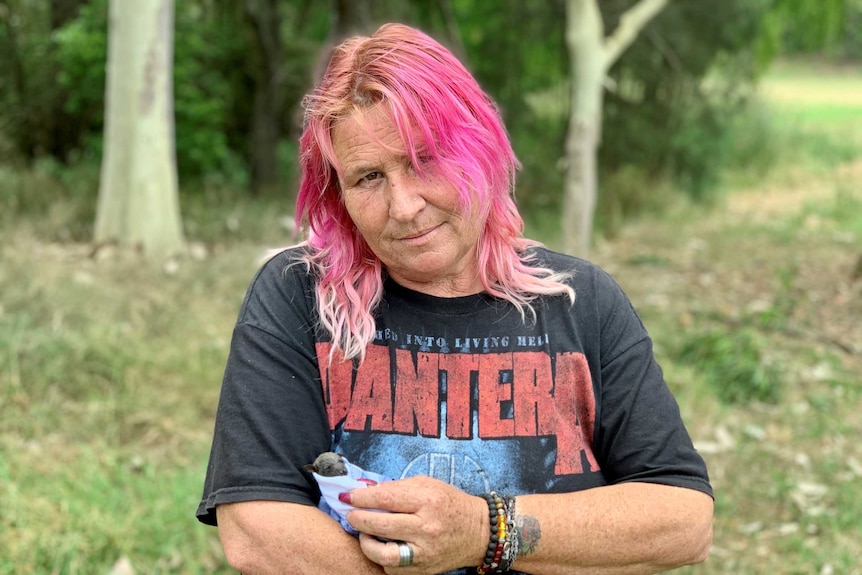 A woman with pink hair nurses a tiny bat wrapped in a blanket.