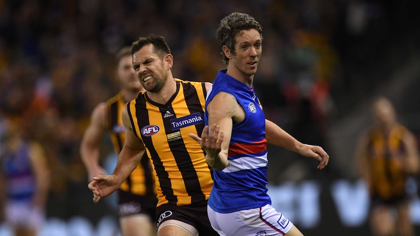 Hawthorn's Luke Hodge (L) and Bob Murphy of the Western Bulldogs contest at Docklands.