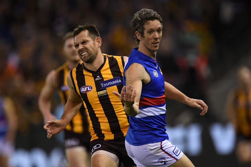 Hawthorn's Luke Hodge (L) and Bob Murphy of the Western Bulldogs contest at Docklands.