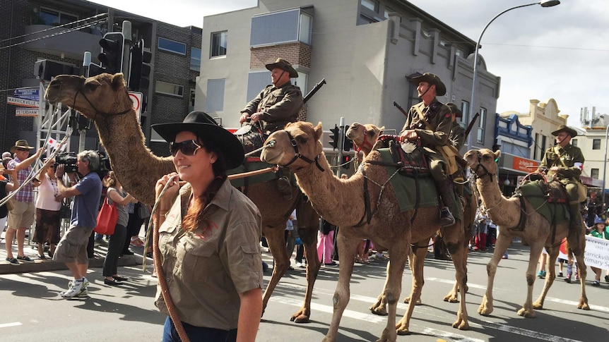 Camels at the Marrickville Anzac March