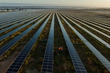 Two workers dressed in orange walk in row of solar panels at huge solar farm in Chinchilla.