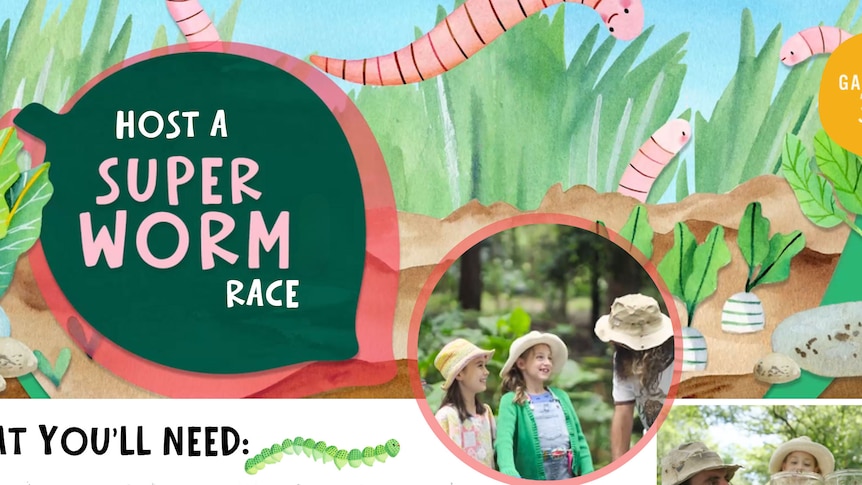 Graphic with text 'Host a Super Worm Race.'