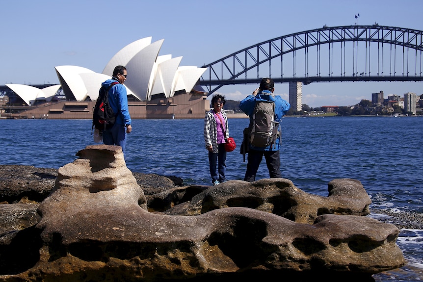 A couple standing on rocks while a man takes a photo in front of the Sydney Opera House and Sydney Harbour Bridge