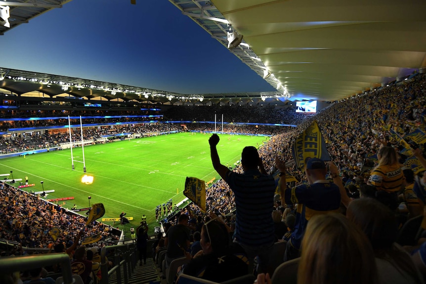 A crowd celebrates an Eels try at Parramatta Stadium