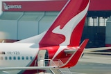A close up of a Qantas plane's tail at an airport.