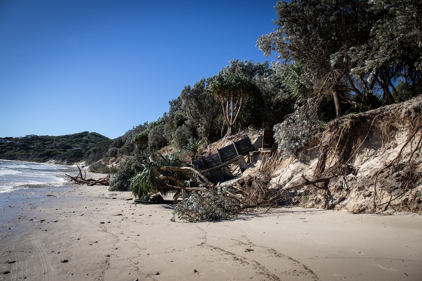 Fallen trees and a collapsed walkway litter the sand looking east along Clarks Beach at Byron Bay.