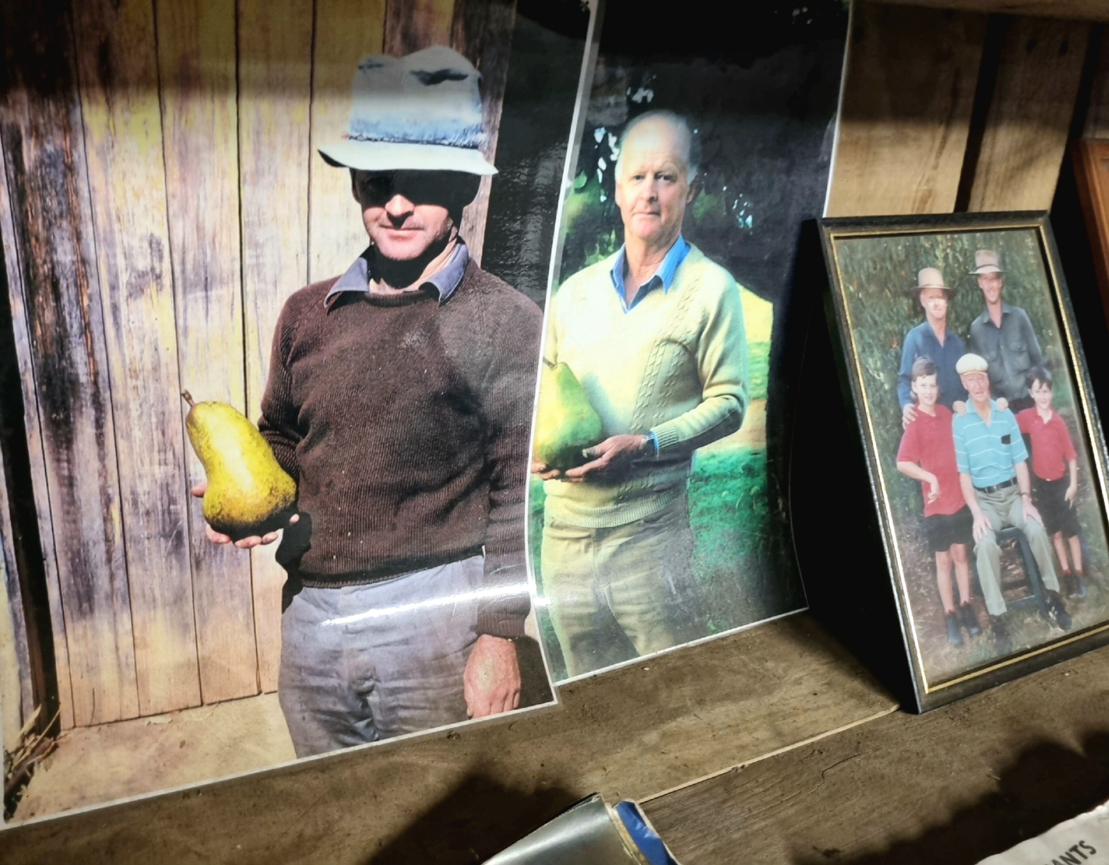 A photo of photos of Yeoman family members over the decades.