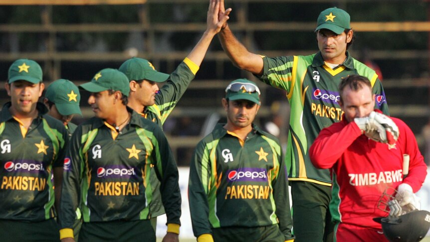 pakistan celebrate in twenty20 win against zimbabwe