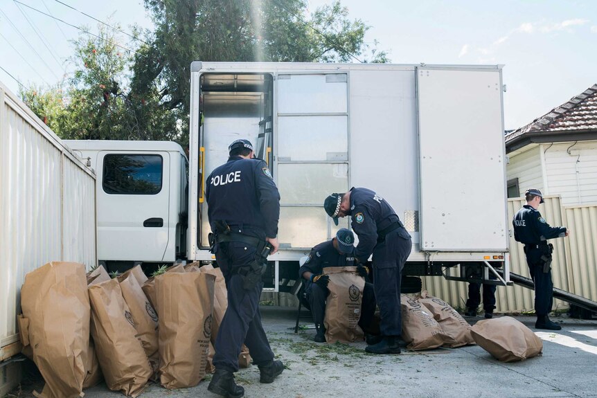 Six police stand in a driveway, with a truck in the background, and brown bags of seized cannabis in the foreground.