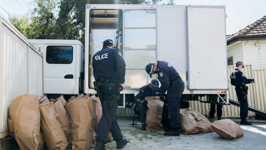 Six police stand in a driveway, with a truck in the background, and brown bags of seized cannabis in the foreground.