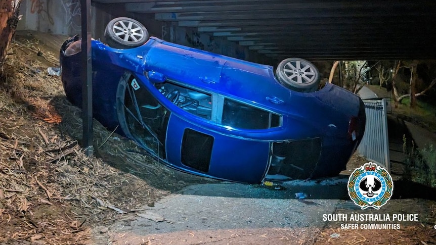 A blue sedan upside down and landed on a light post on a bike and pedestrian path under an overpass.