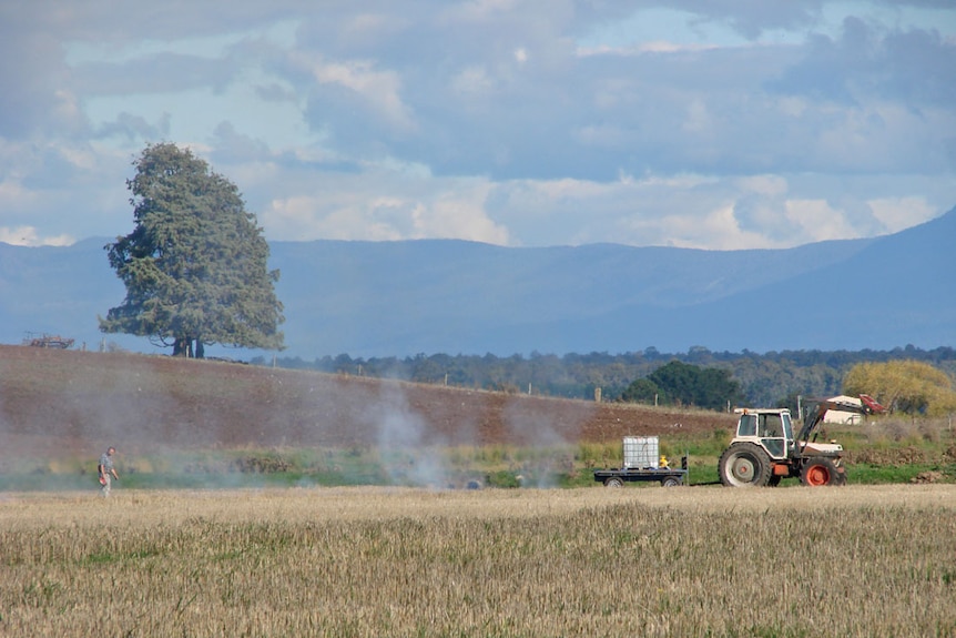 Near a water cart harnessed to tractor, a farmer with flame thrower burns edge of paddock at Westerway in northern Tasmania