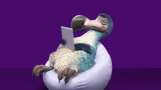 A cartoon dodo sitting on a bean bag looking at a tablet, with a purple background.