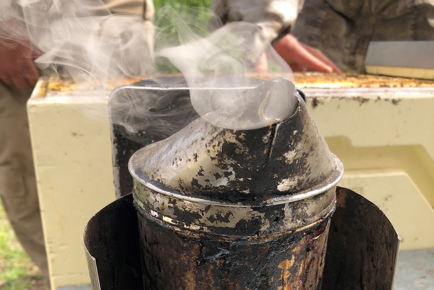 a smoker used by beekeepers