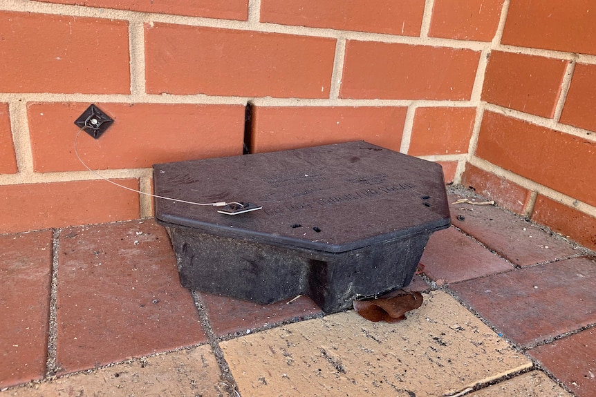 A black box sits against a brick wall.