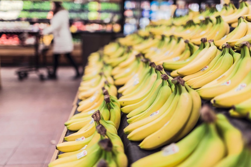 Bunches of bananas on a supermarket shelf, a healthy snack and fruit.