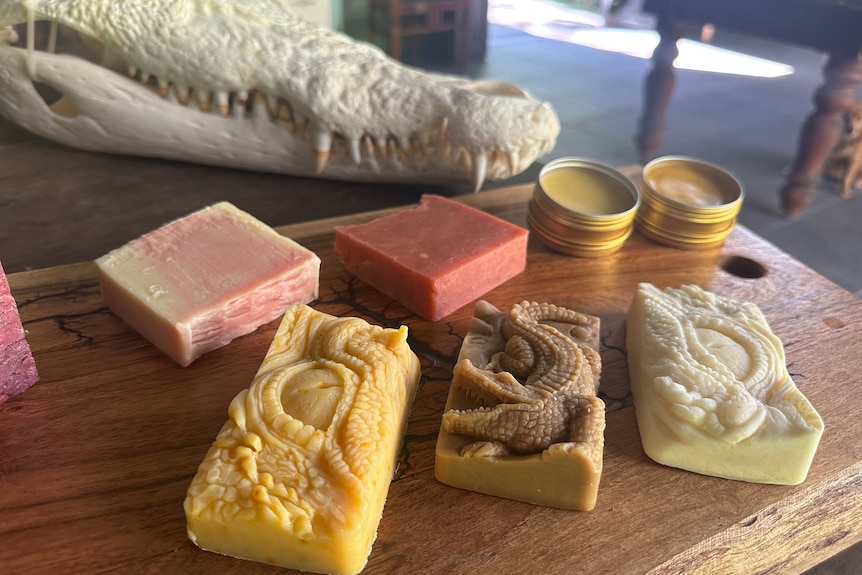 Bars of soap sitting next to a crocodile skull.