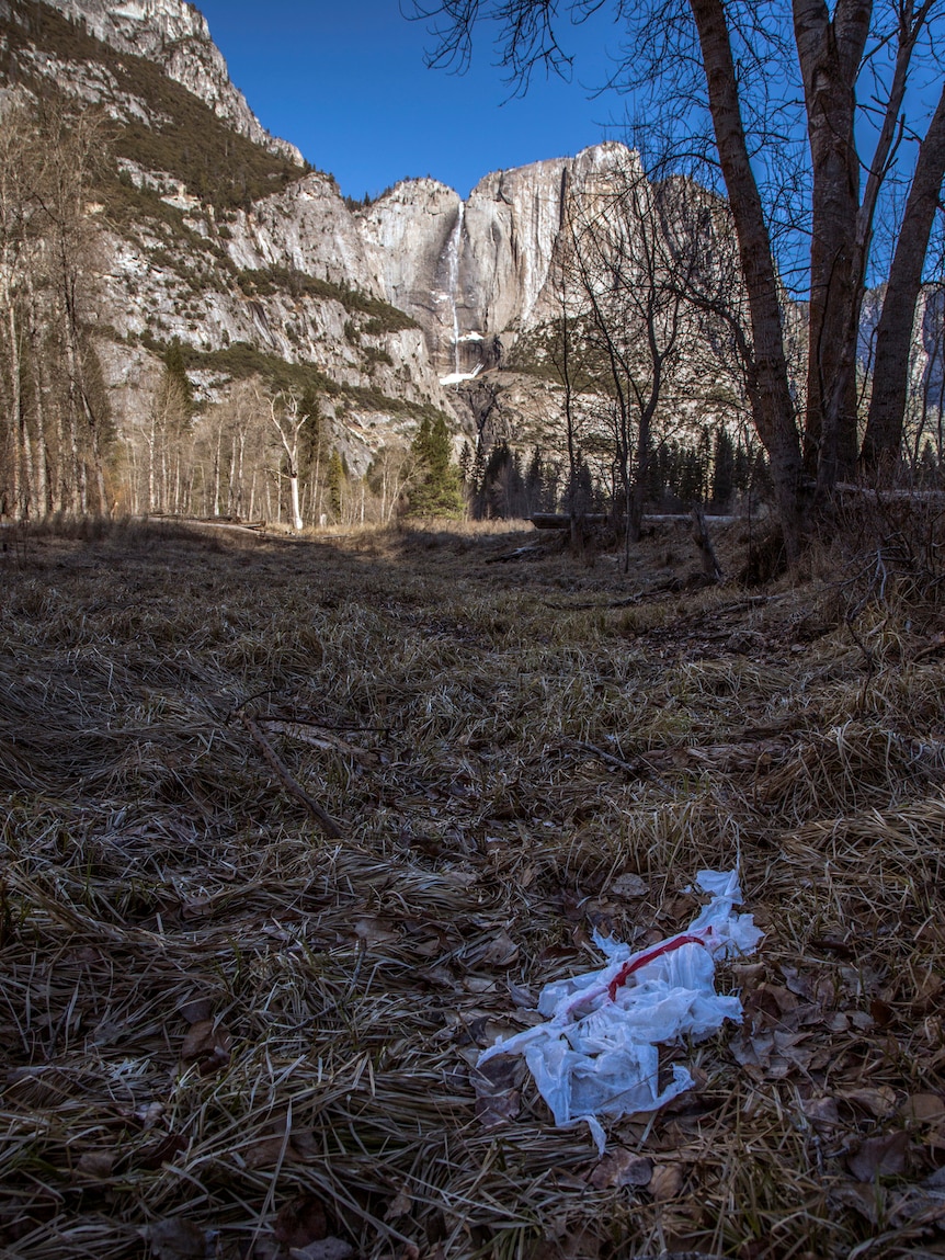 A torn white plastic bag sits on leaves and twigs on ground leading up to a large waterfall and rockface in a national park.