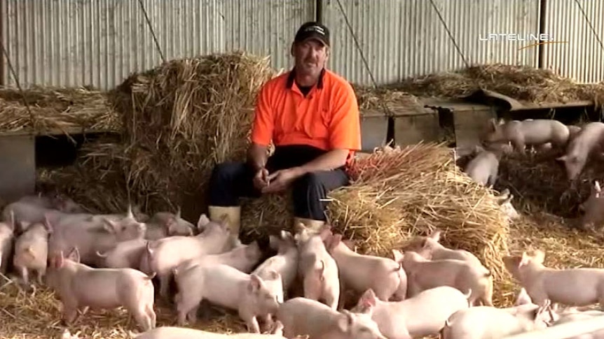 Farmer Ean Pollard in video about Australian pork industry