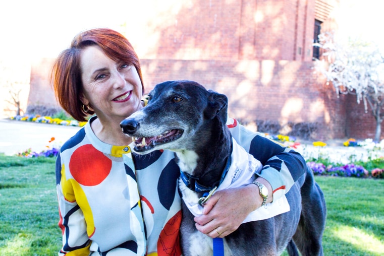 Judy Lind, chief executive of the Greyhound Welfare and Integrity Commission kneeling next to a greyhound called Roy