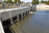 Dark algae covers the water next to a concrete bridge