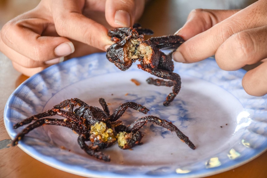 Pale hands pull apart a fried tarantula to show the flesh and yellow eggs inside