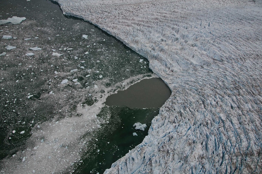 A glacier melting into the sea.