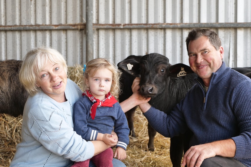 A smiling woman and a man on either side of their young granddaughter in a shed with some buffalo calves.