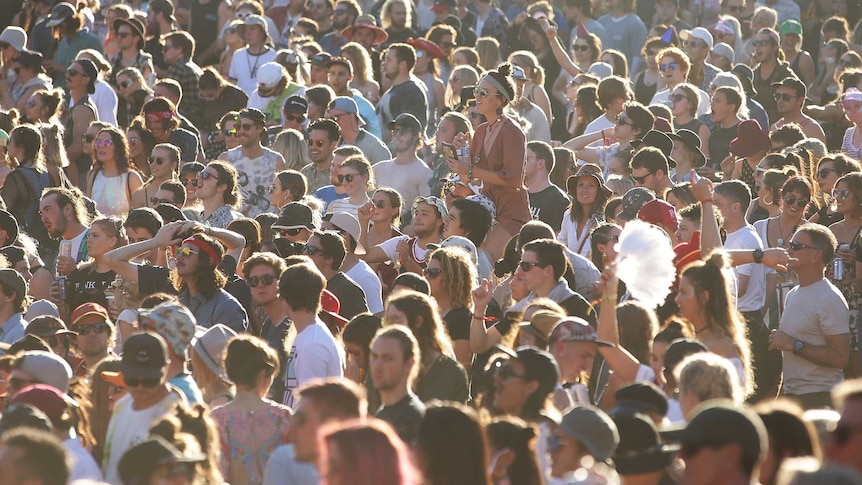 A crowd at a music festival