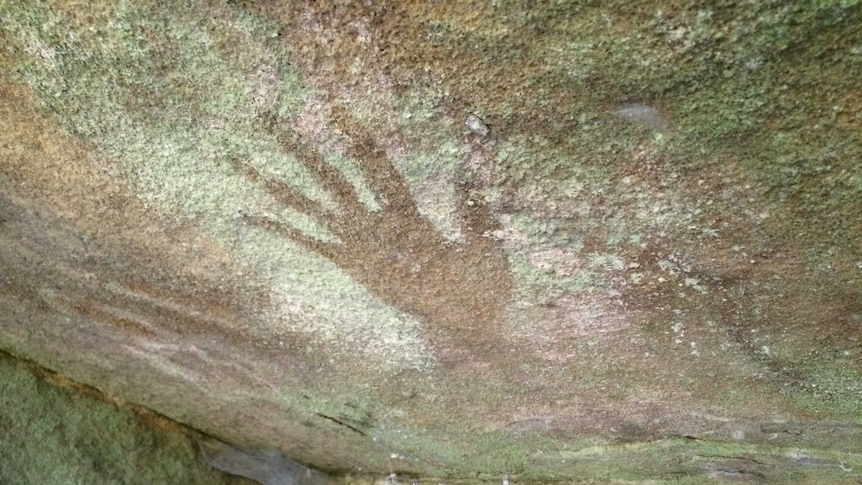 An ancient Aboriginal art site is discovered in the suburbs of Sydney