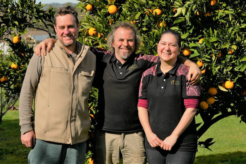 three people smiling in front of a orange tree.