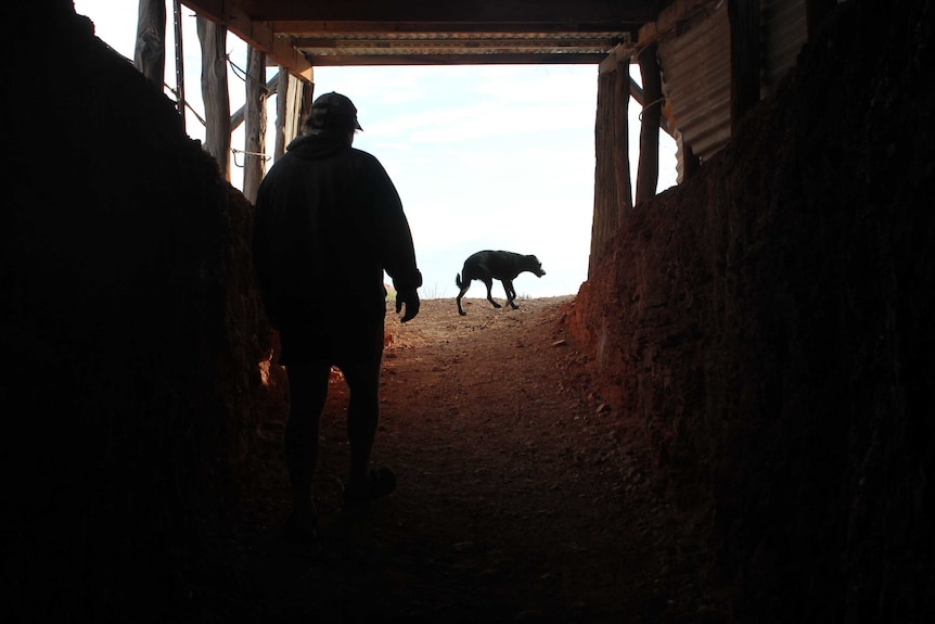 silhouetted man walking out of mine shaft with a dog up ahead of him