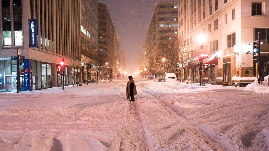 Metro and bus networks were shut down in Washington for the entire weekend due to the blizzard.