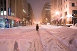 Metro and bus networks were shut down in Washington for the entire weekend due to the blizzard.