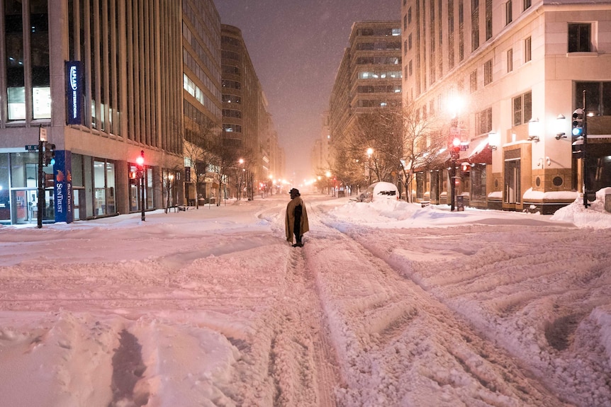 Metro and bus networks were shut down in Washington for the entire weekend due to the blizzard.