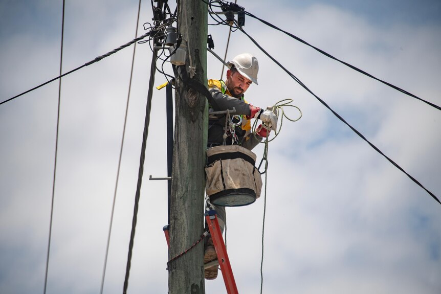 an energy worker up a ladder performing maintenance on a powerline 