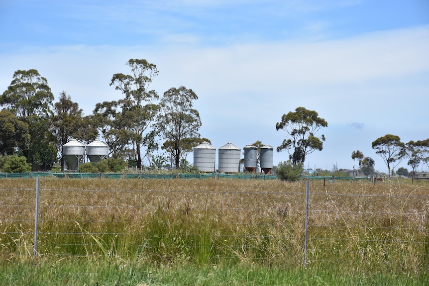 Grass is yellow and green inside a largely empty paddock, with some water towers and tanks visible at the back.