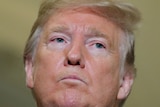 Donald Trump casts a stern glare.